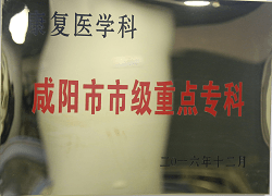 康復(fù)醫(yī)學(xué)科咸陽市市級重點?？?><div   id=